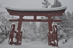 岩木山神社　赤鳥居　Iwaki-san shrine   Red torii